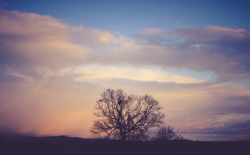 horizon-view-landscape-bluesky-72323.jpeg