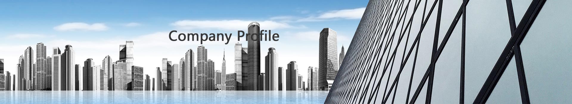 Company Profile